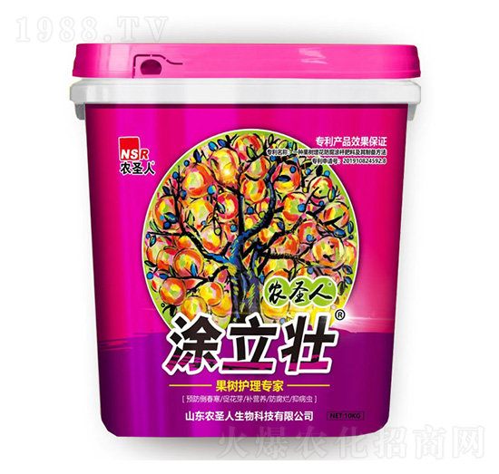 ����(sh��)�o(h��)�팣��-Ϳ����-�r(n��ng)ʥ��