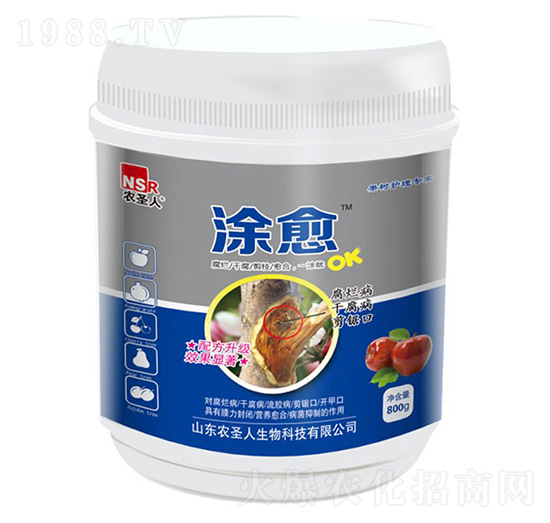 800g�����o�팣��-Ϳ��-�r(n��ng)ʥ��