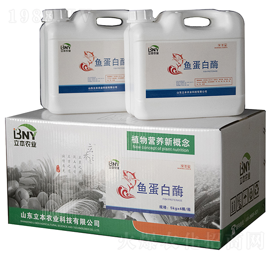 �~(y��)����ø-�����r(n��ng)�I(y��)