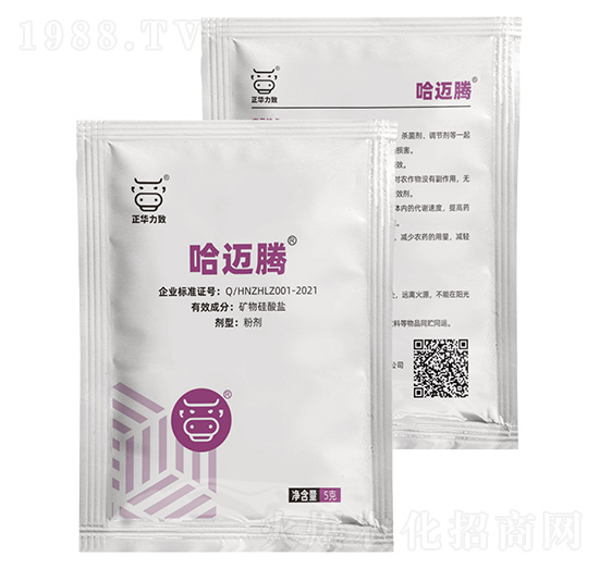 礦物硅酸鹽-哈邁騰-正華力致