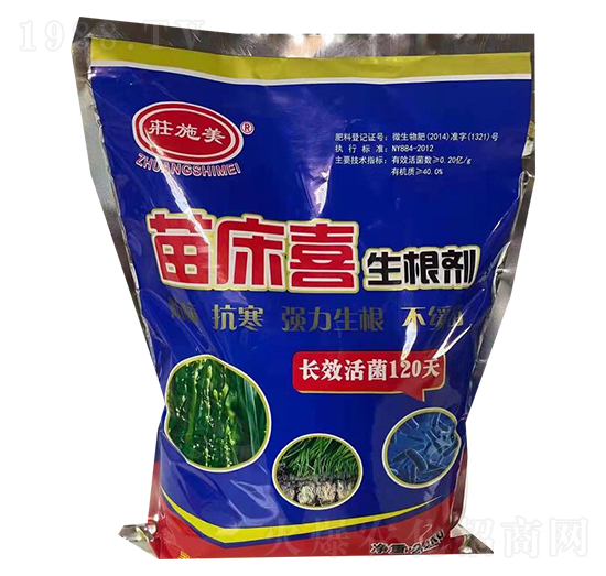 �紲ϲ������-�Pʩ������