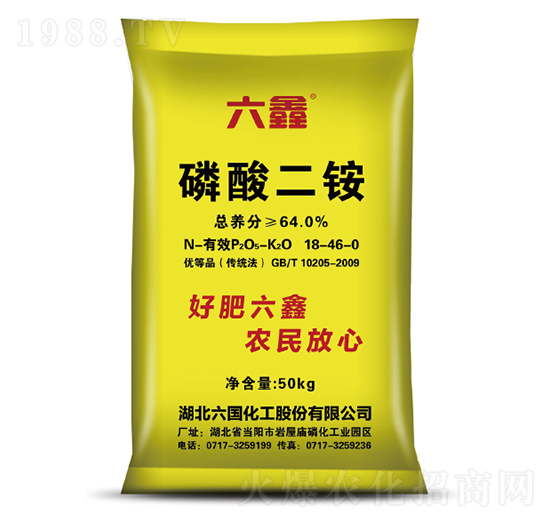 ������@-����-����(gu��)����