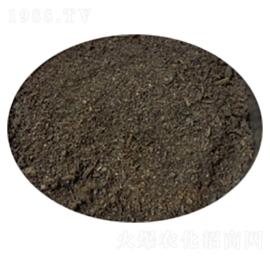 ��ţ�S-�T������