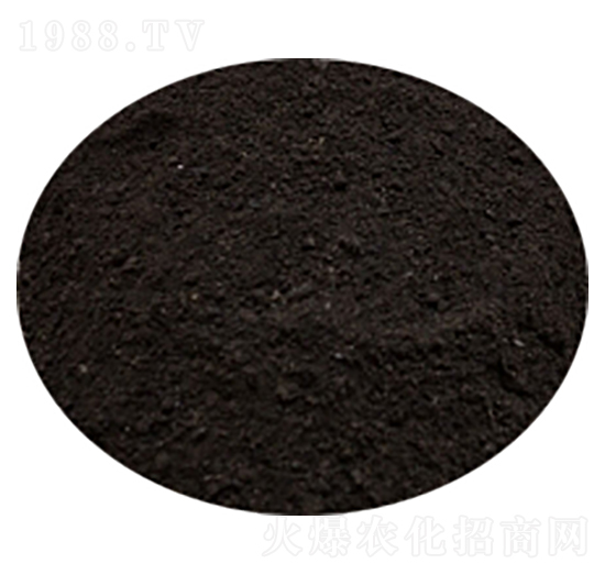 ���S��-�T������