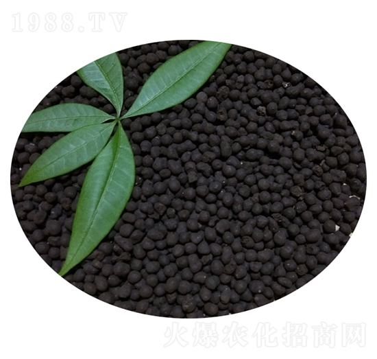 ����u�S��-�T������