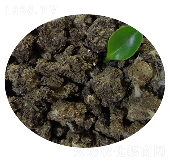 ���u�S��-�T������