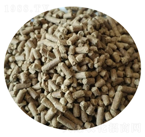 ΢�������-ʥ������