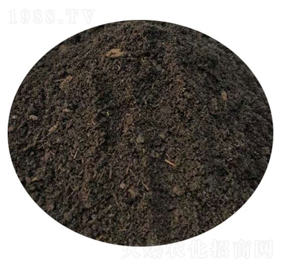 ţ�S-ʥ������