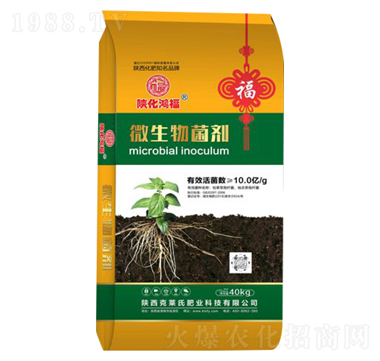 10.0�|΢�������-���R��