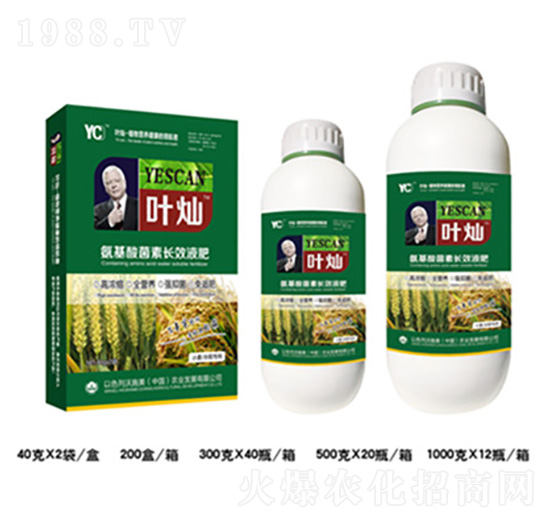 小麥水稻氨基酸菌素長效液肥-葉燦-德化