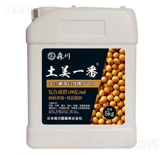 ����һ�������;���-ɭ��-����