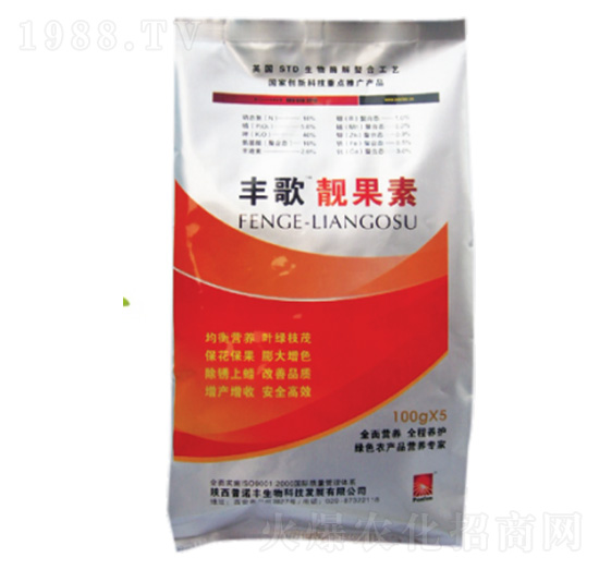 �S���n����-���Z�S