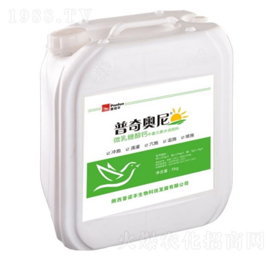 ΢���Ǵ��}-����W��-���Z�S