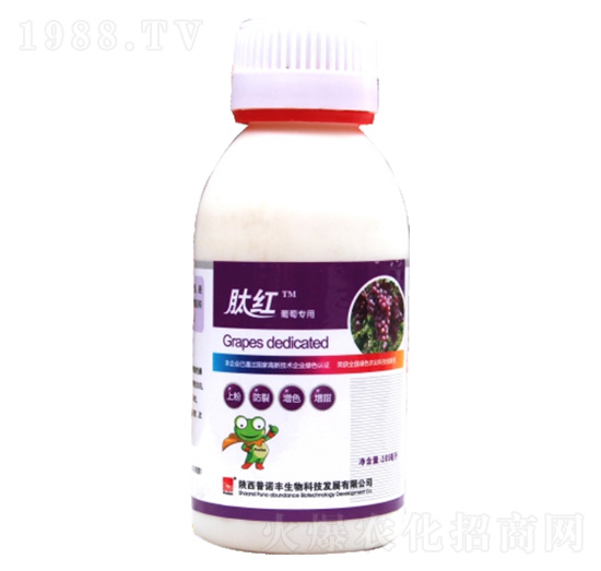 �ļt-���Z�S