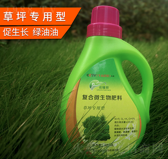 ��ƺ�����͏�(f��)��΢�������-������