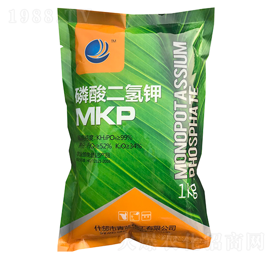 1kg��������-���{����