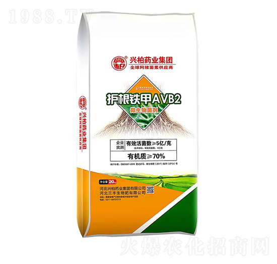 �o���F��AVB2΢�������-�����S