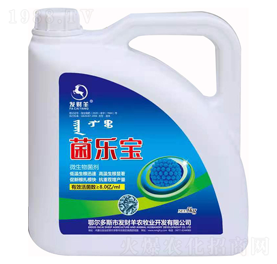 ΢�������-������-�l(f��)ؔ(c��i)��