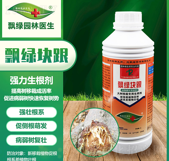 ������Ԍ���������-�h�G�K��-�h�G