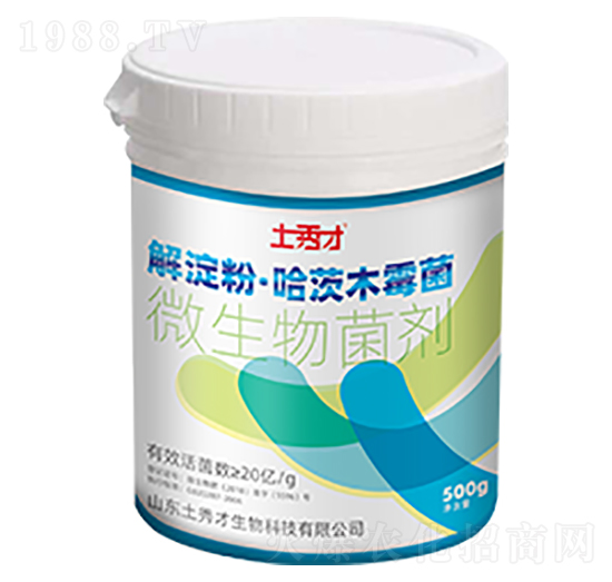 ����ۡ�����ľù��-�����