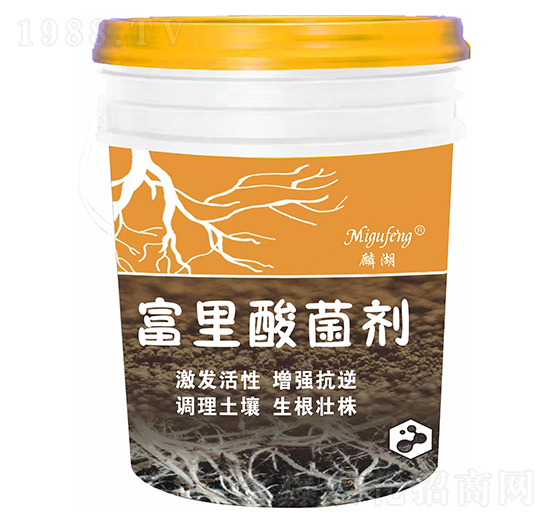 ���������-�������