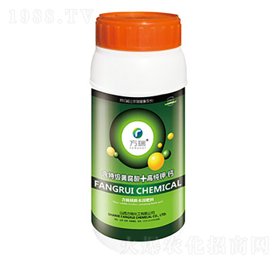 �߼���}-����