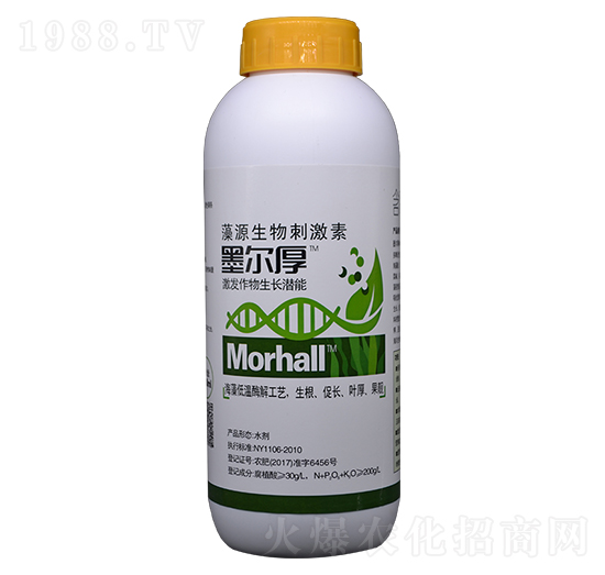 ī���񣨺����~��ʣ�-�꾧��