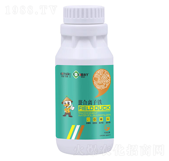 �����x���F-��СѾ-�_������