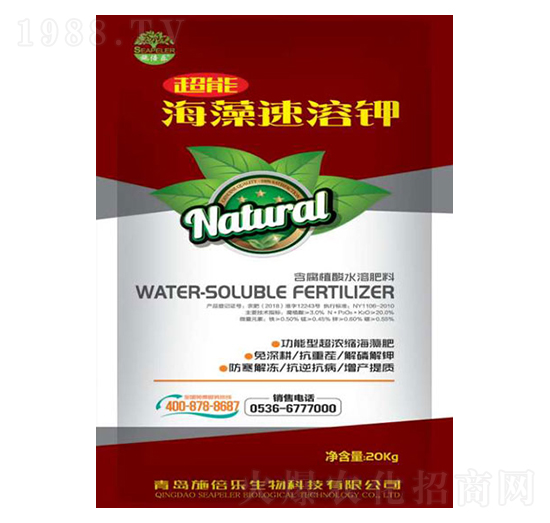 ���������-�������