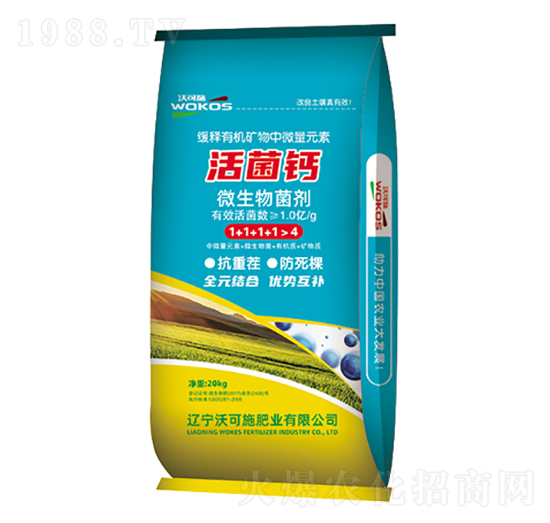 ����}΢�������-�ֿ�ʩ