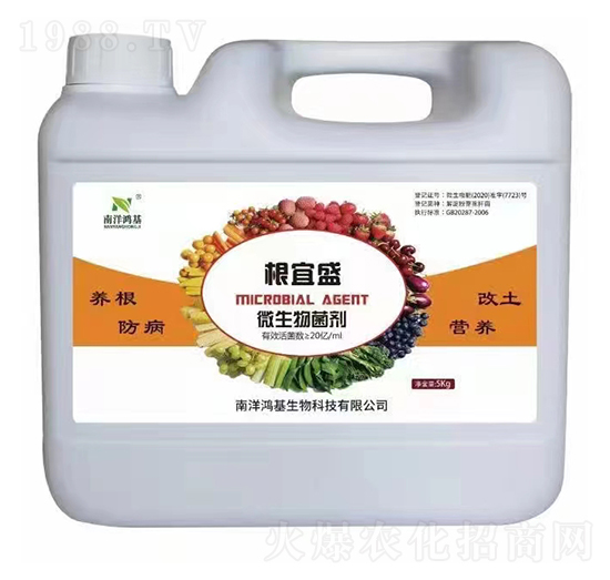 ΢�������-����ʢ-��������