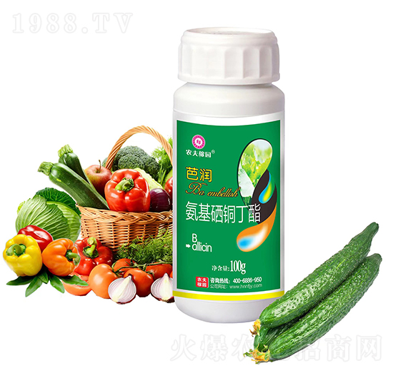 �������~����-�ŝ�(r��n)-�r(n��ng)��ڈ@