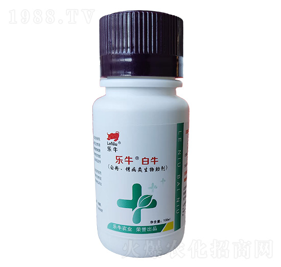 �׷ۡ��P�����������-��(l��)������ţ-�\(ch��ng)��I(l��ng)��