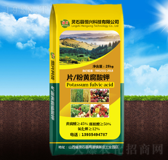 Ƭ/���S�����-���d�Ƽ�