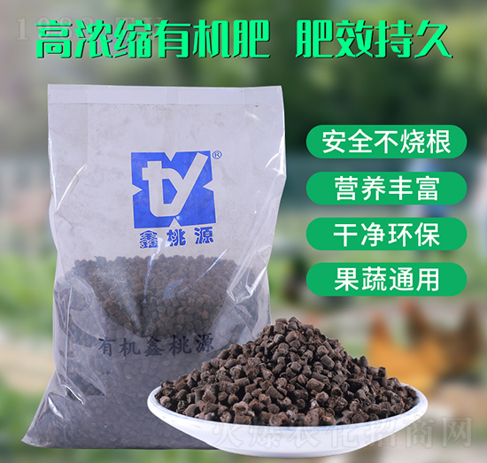 �ߝ�s�ЙC(j��)��-��(r��n)��