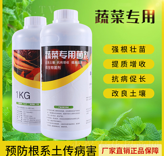 �߲ˌ�(zhu��n)�þ���-��(r��n)��