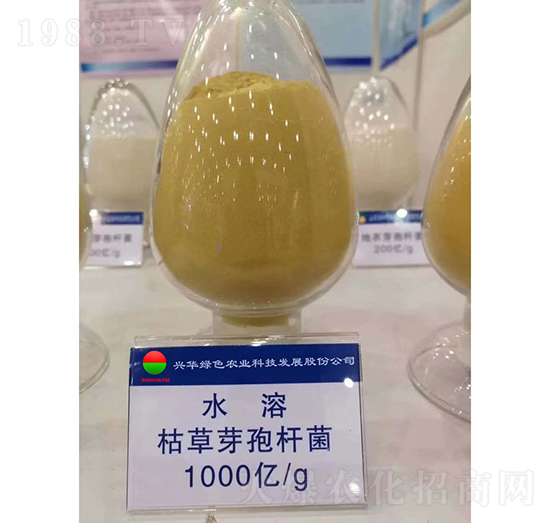 �ݲ�ѿ�ߗU��-�d�A�Gɫ