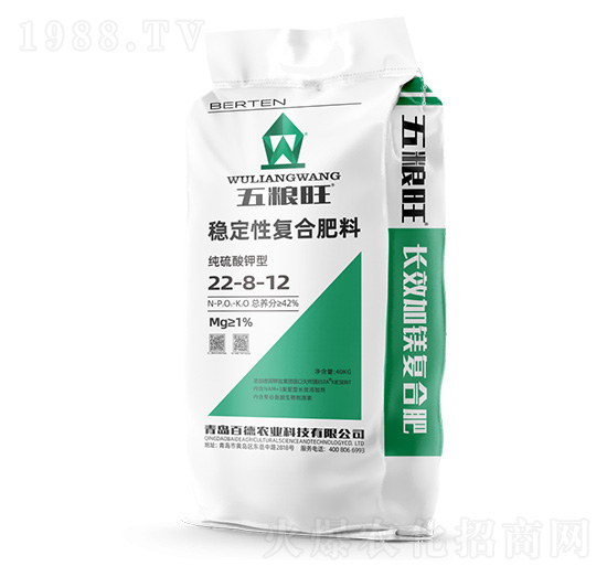 ��Z����(w��n)���ԏͺϷ���22-8-12-����