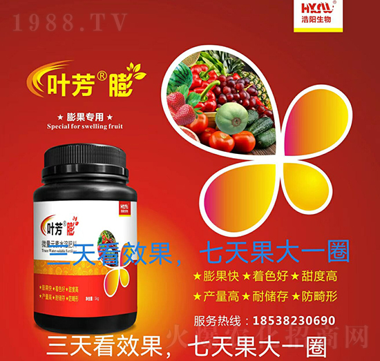 �������-�~����-���(y��ng)����