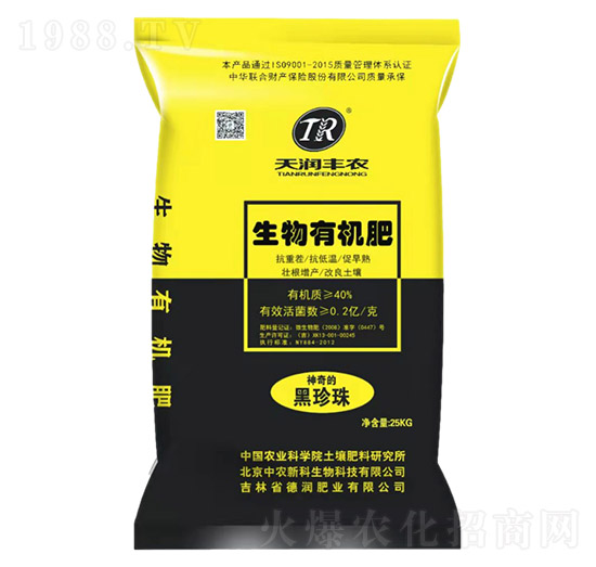 �����������ЙC(j��)��-��(r��n)�ʘI(y��)