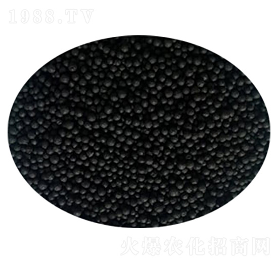 �ЙC�����w��-���y����