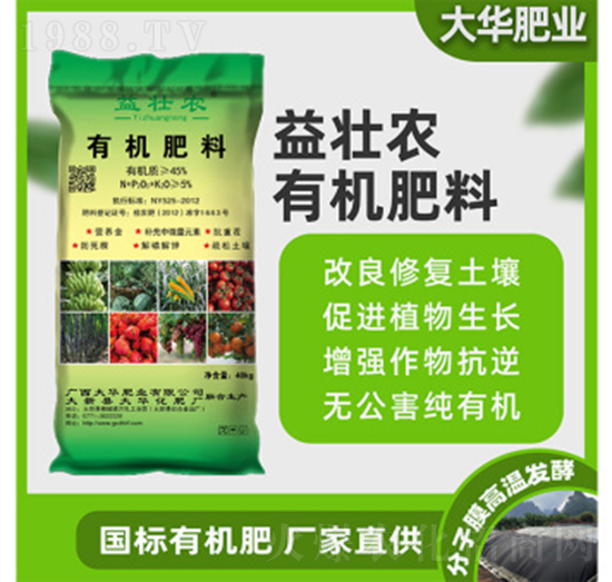 �ЙC(j��)����-����r(n��ng)-���A����