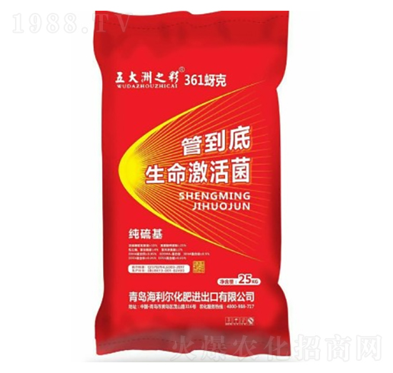 ���������-�ܵ���-������