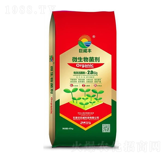 ΢�������-�����S-��������