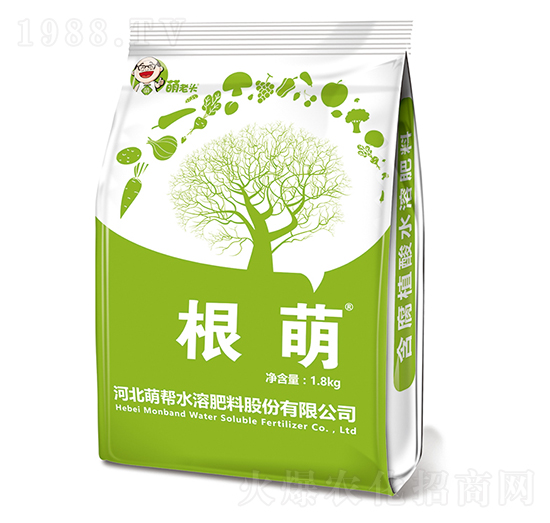 ����-�Ȏ�