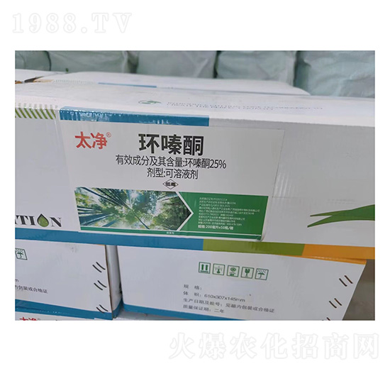 25%�h(hu��n)�ͪ-̫��-ʢ������