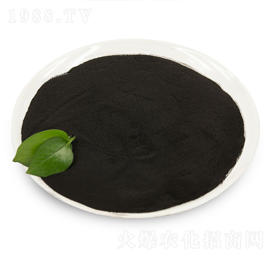 ��ֲ��ԭ��-���B��