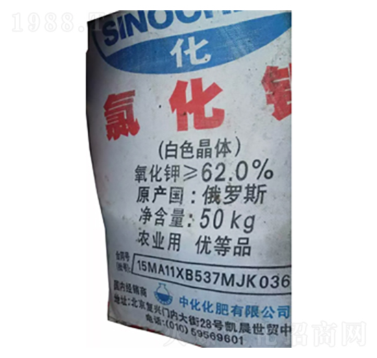 62%���_˹��⛣���ɫ���w��-¡���r�Y