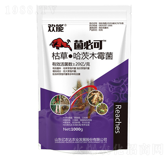 �ݲݡ�����ľù��-���ؿ�-�|�r(n��ng)�_�r(n��ng)�I(y��)