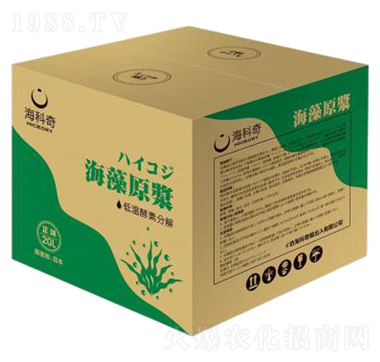 ����ԭ�{-������